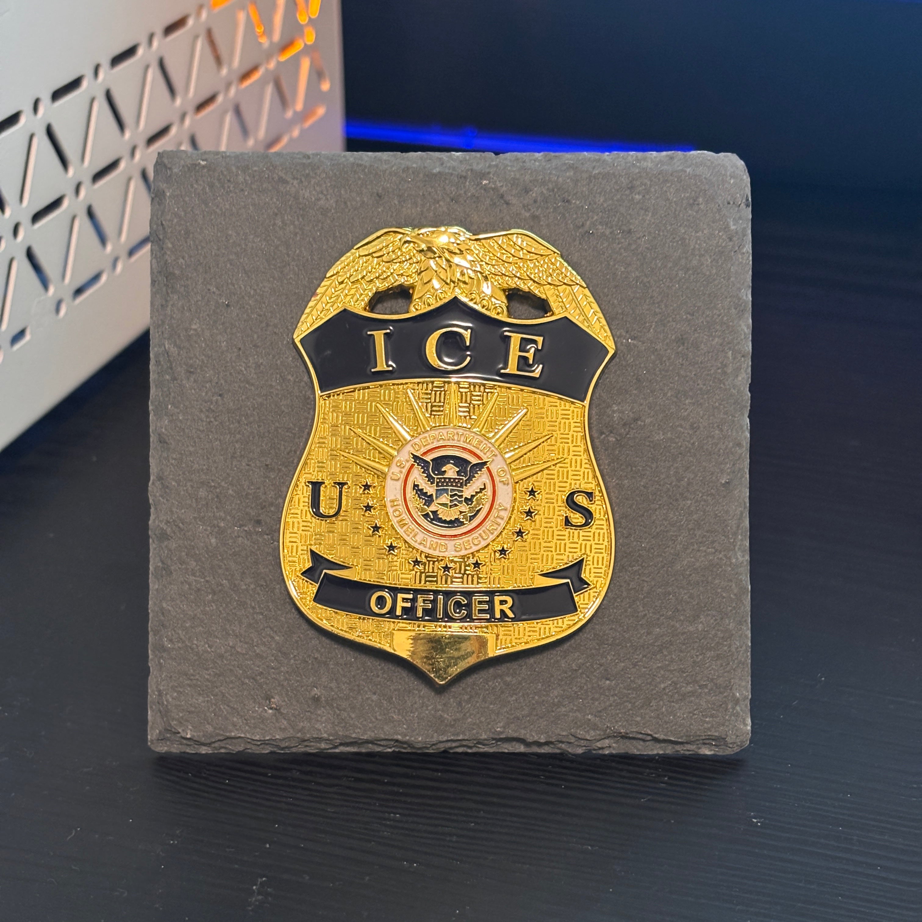 Ice police badge Desk Decor,Law Enforcement Award & Recognition Collectible gifts retirement memorial