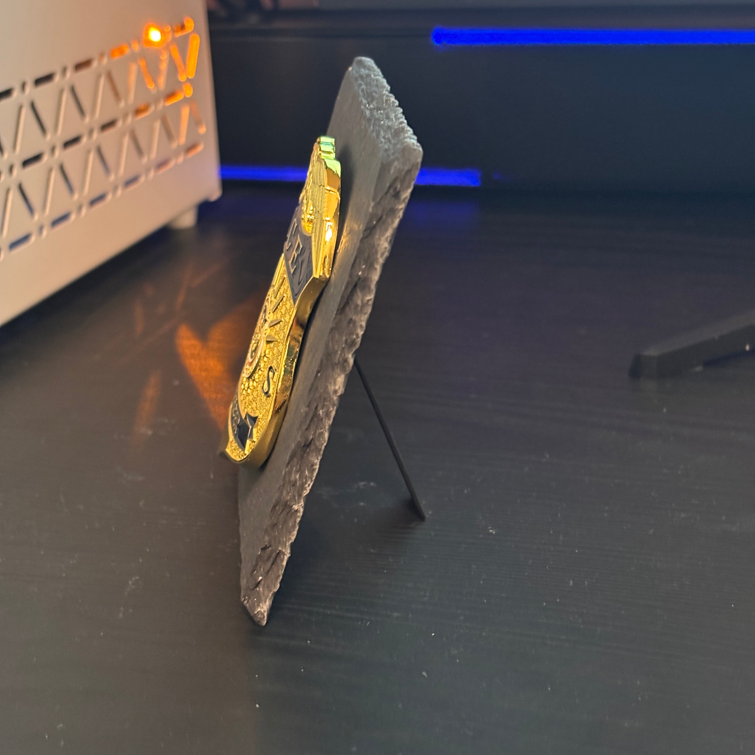 Ice police badge Desk Decor,Law Enforcement Award & Recognition Collectible gifts retirement memorial