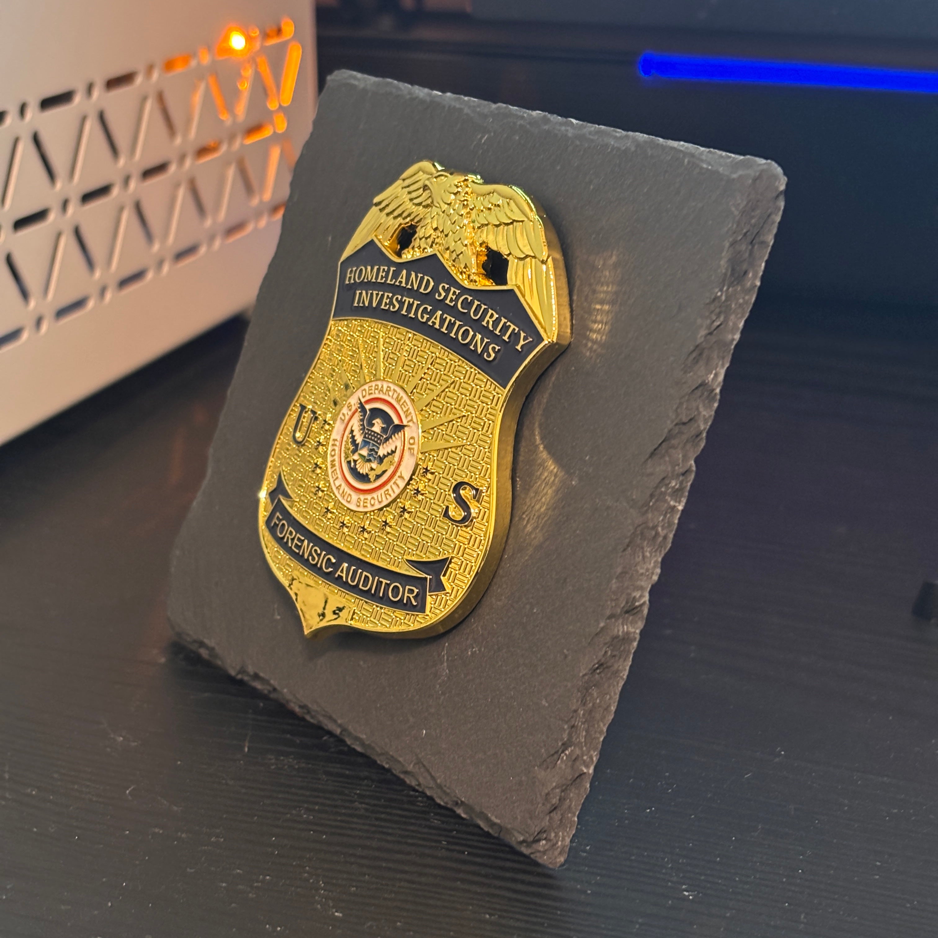 Forensic auditor police badge Desk Decor,Law Enforcement Award & Recognition Collectible gifts retirement memorial