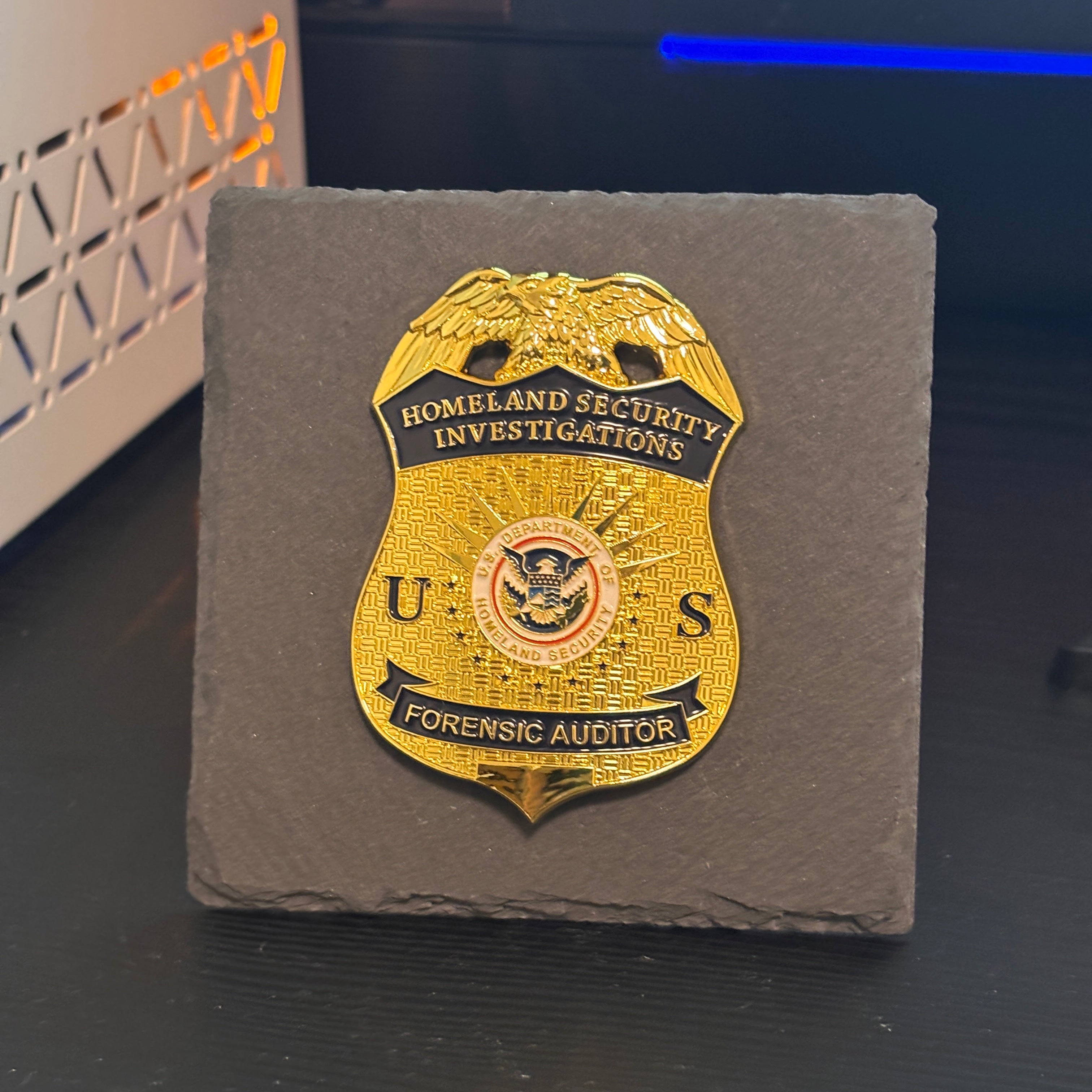 Forensic auditor police badge Desk Decor,Law Enforcement Award & Recognition Collectible gifts retirement memorial