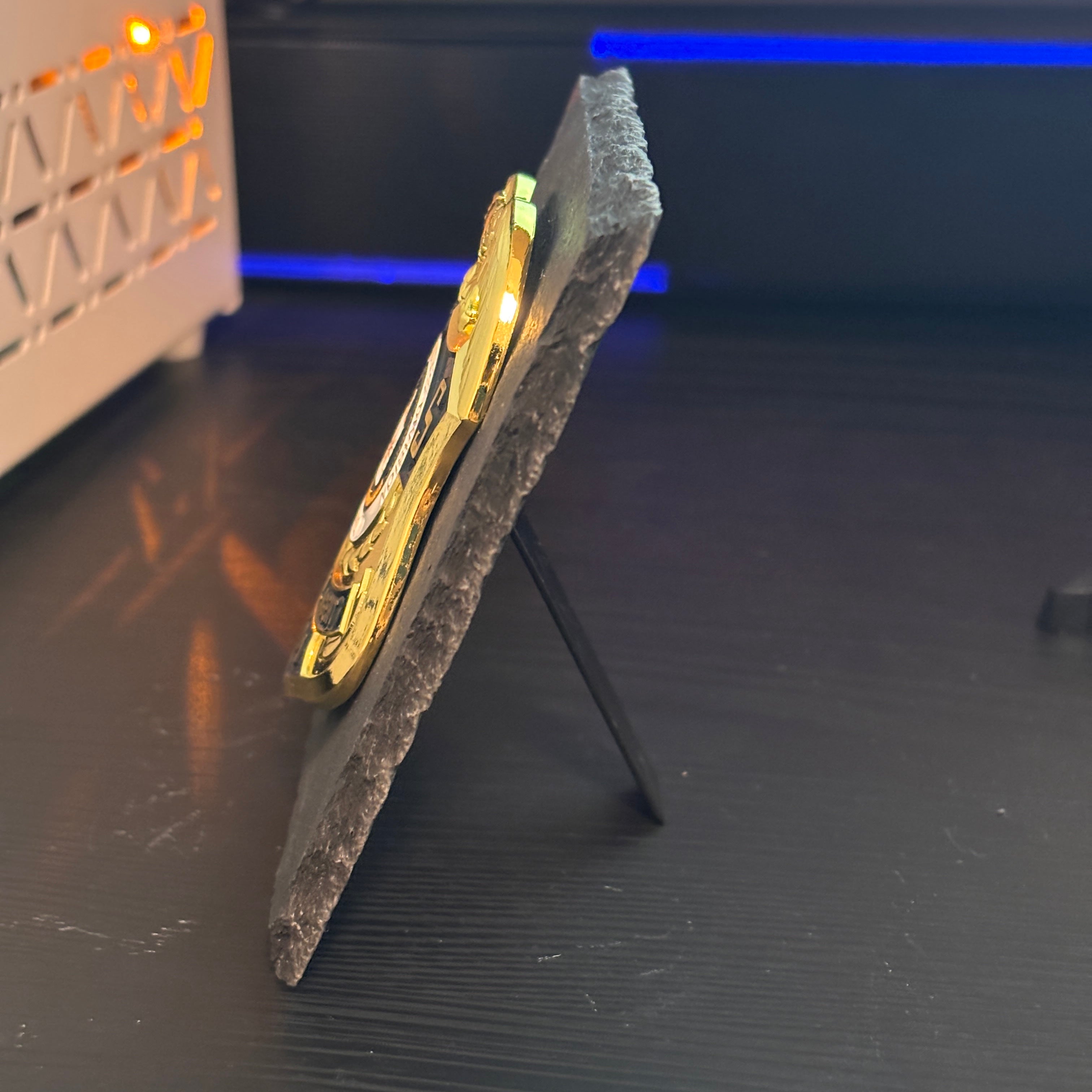 Special agent 101 badge Desk Decor,Law Enforcement Award & Recognition Collectible gifts retirement memorial