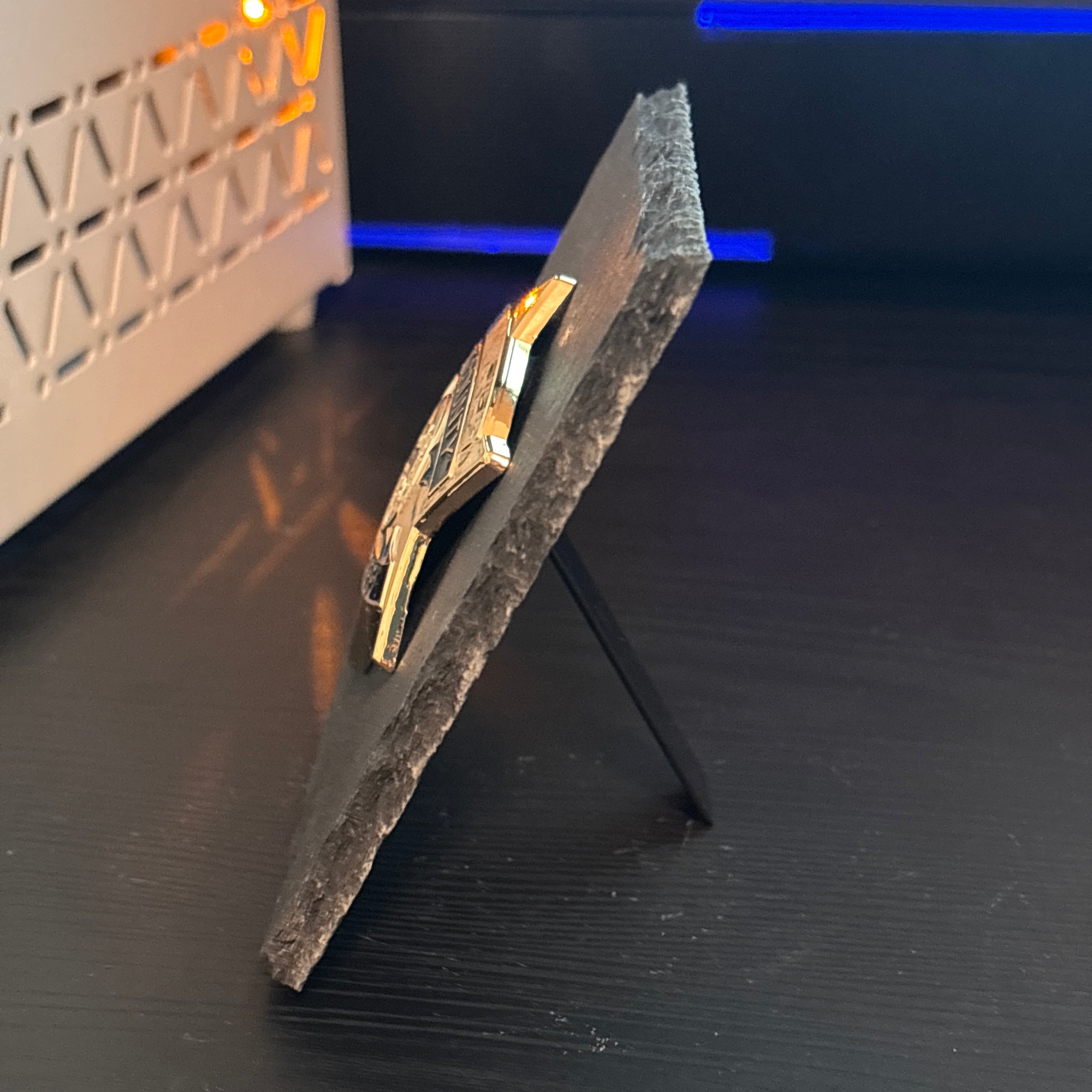 Cook county badge Desk Decor,Law Enforcement Award & Recognition Collectible gifts retirement memorial