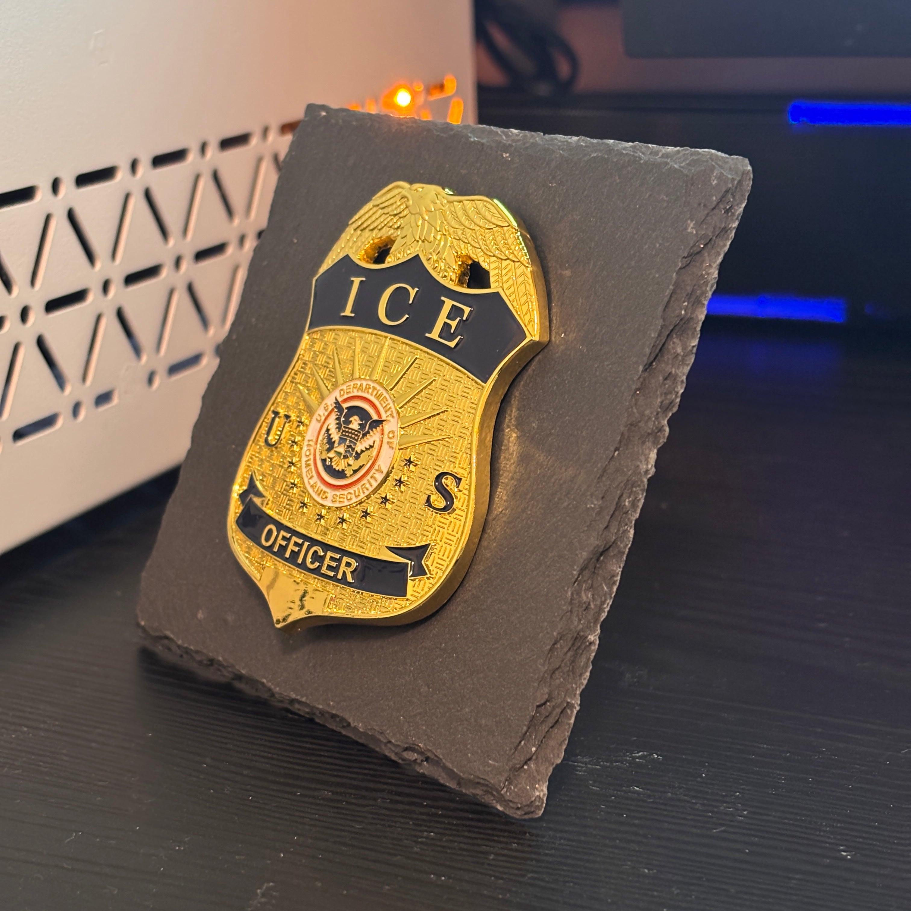 Ice police badge Desk Decor,Law Enforcement Award & Recognition Collectible gifts retirement memorial