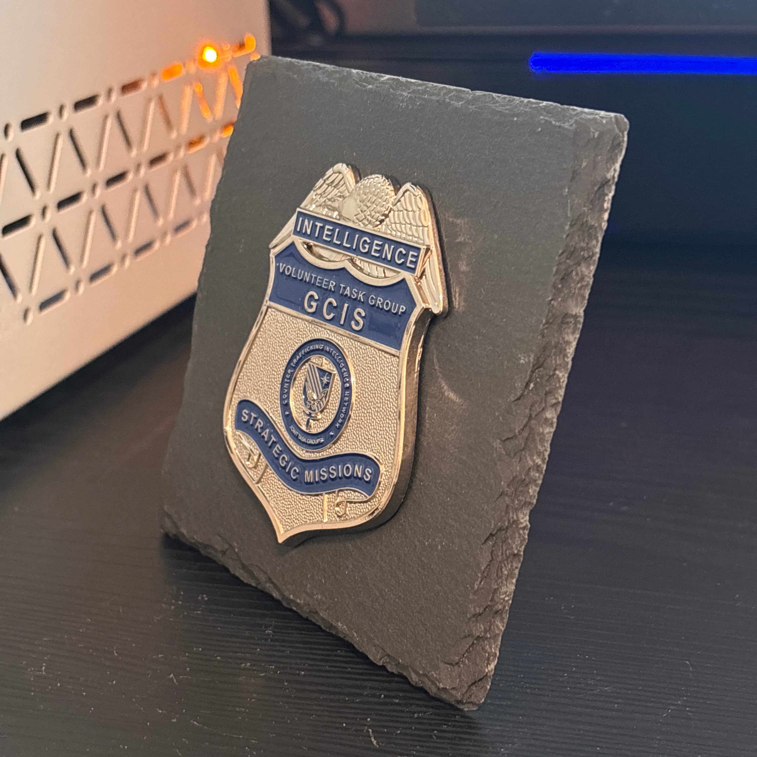 Ntelligence badge Desk Decor,Law Enforcement Award & Recognition Collectible gifts retirement memorial