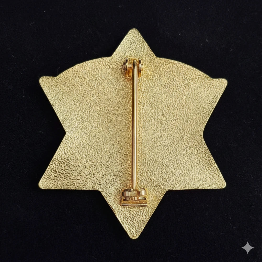 CCSO Cook County Sheriff Star Gold Badge Customizable Number Replica